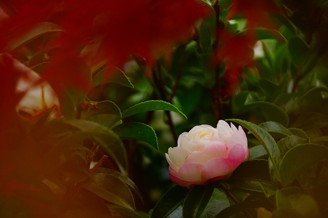 a0345188_02494478.jpg