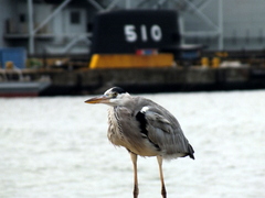 b0192588_8255593.jpg