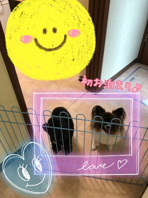 d0269898_16180995.jpeg