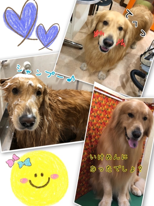 d0269898_16190627.jpeg