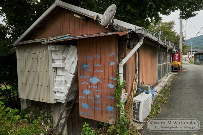 小島の昭和の名残_e0135098_06535466.jpg