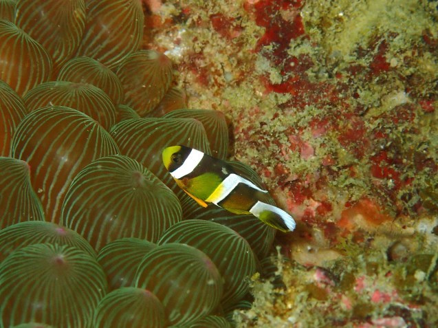 e0115199_13424276.jpg