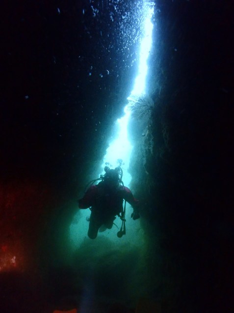 e0115199_13442392.jpg