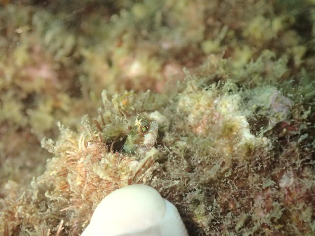 e0115199_13505620.jpg
