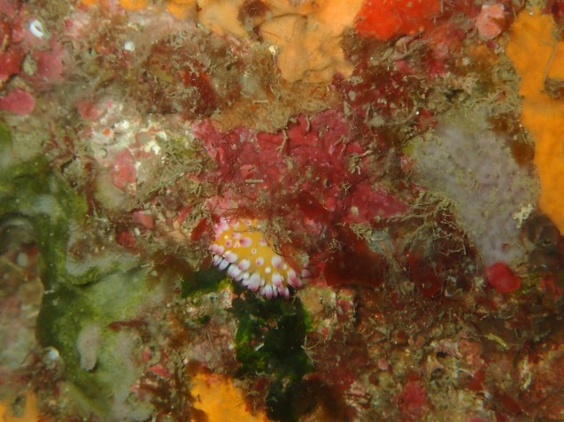 e0115199_13532577.jpg