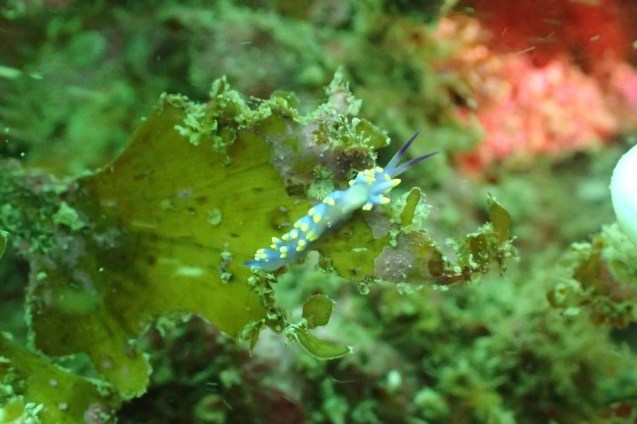e0115199_13541714.jpg