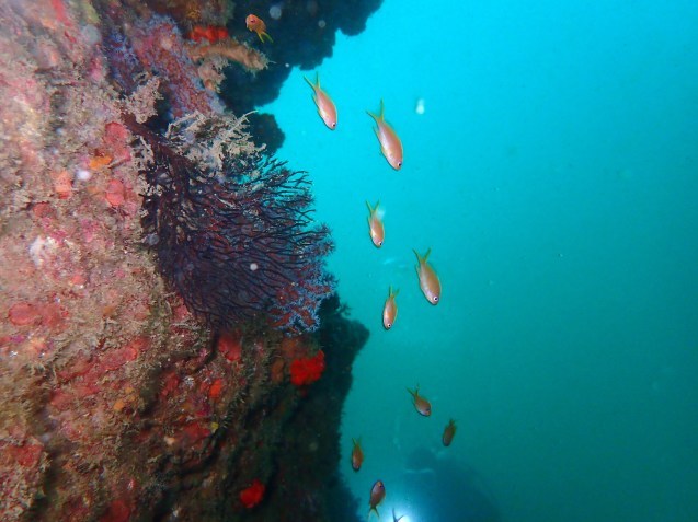 e0115199_14001033.jpg