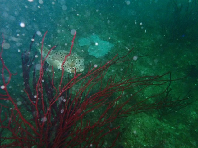 e0115199_14024035.jpg
