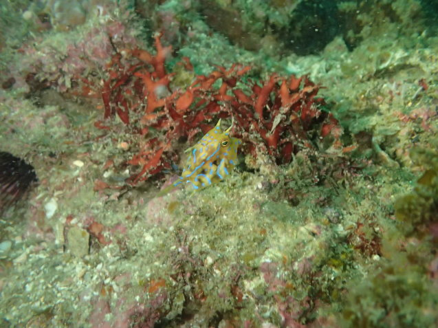 e0115199_14044883.jpg