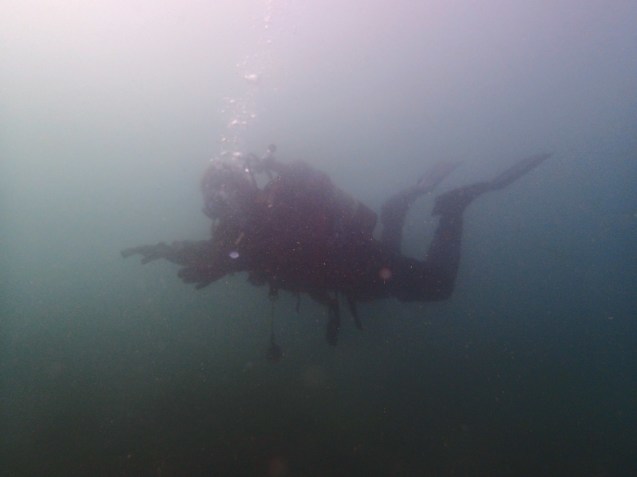 e0115199_14093894.jpg