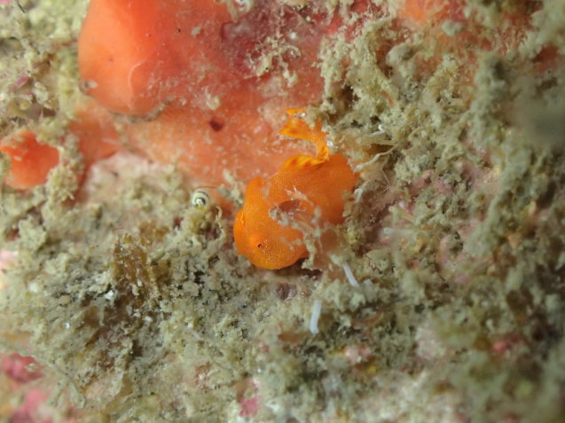 e0115199_14314816.jpg