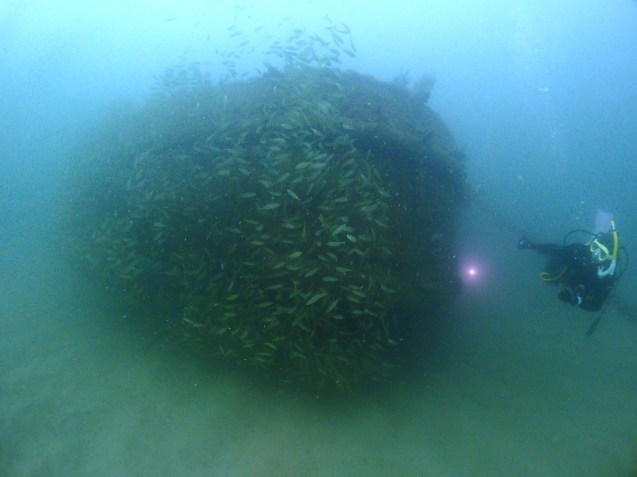 e0115199_14350211.jpg