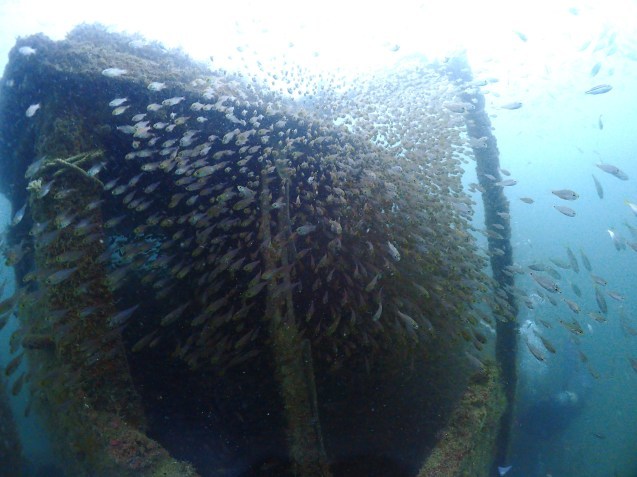 e0115199_14370348.jpg
