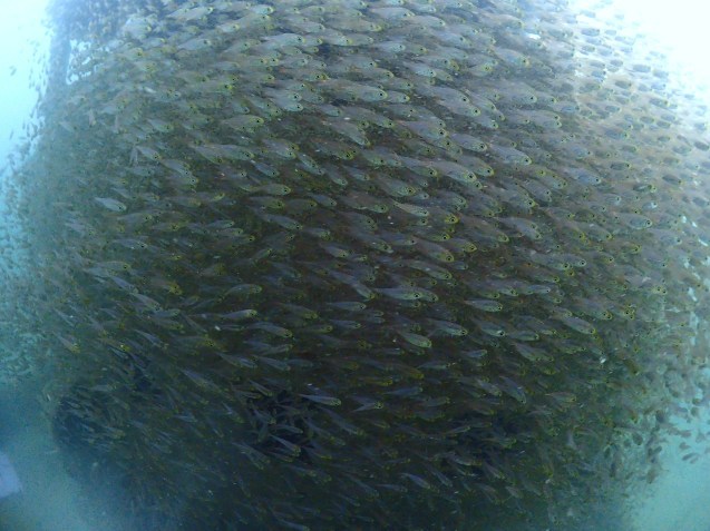 e0115199_14530335.jpg