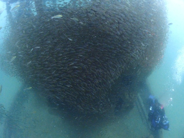 e0115199_14532735.jpg