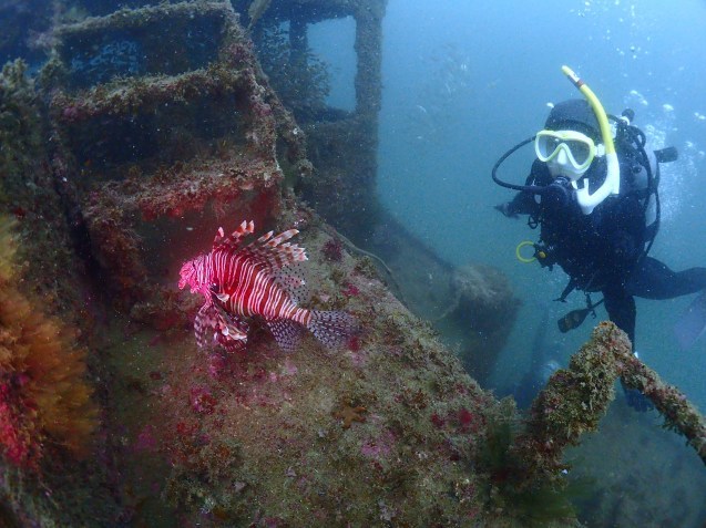 e0115199_14540157.jpg