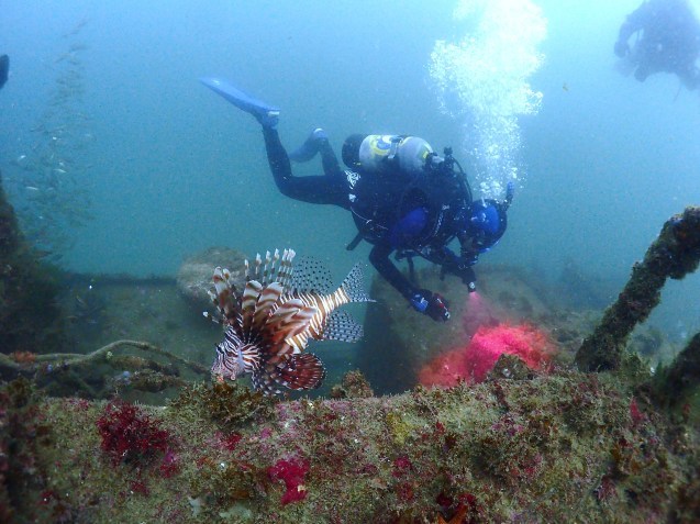 e0115199_14542431.jpg