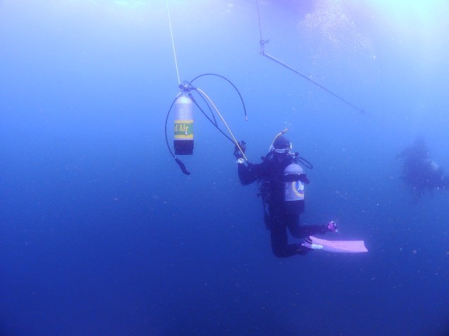 e0115199_14570923.jpg