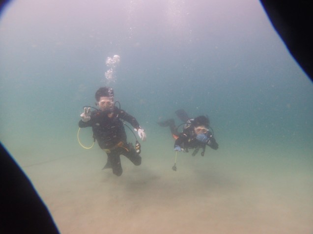 e0115199_16151181.jpg