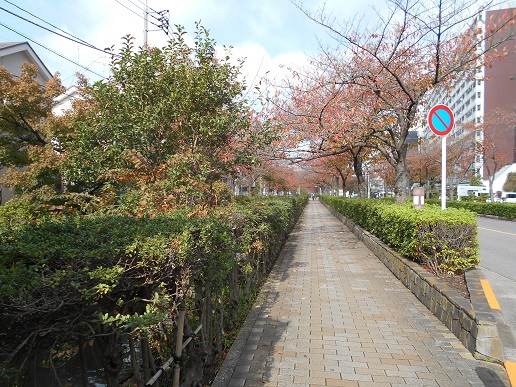 d0009105_20541655.jpg