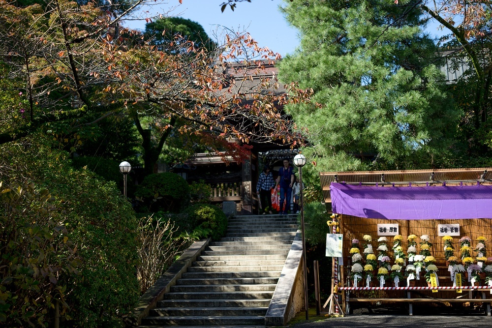 d0376905_19544591.jpg