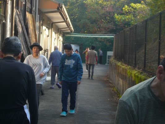 10/8 朝の散歩_a0154110_13111464.jpg