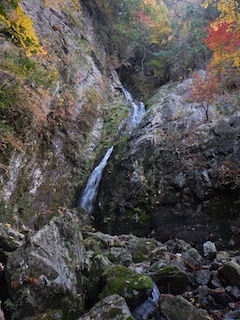 無名の大滝を越えて踏む無名ピーク…奥美濃・高地谷支流白倉谷_c0359615_20493421.jpg