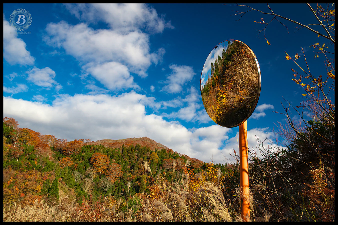 鳥越林道の紅葉2018_c0115616_15173430.jpg