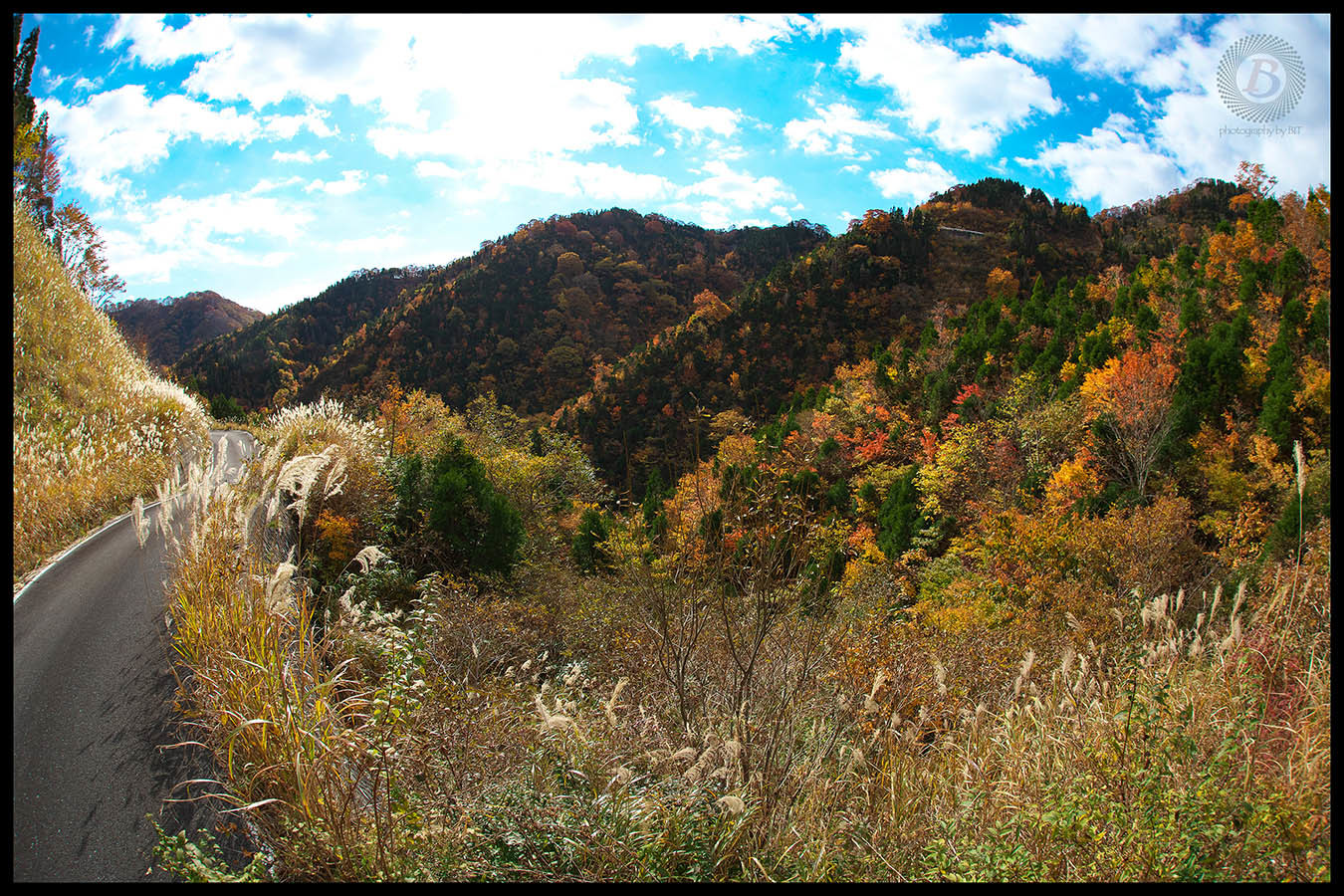 鳥越林道の紅葉2018_c0115616_15173553.jpg