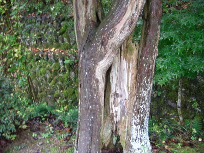 c0074721_16135378.jpg