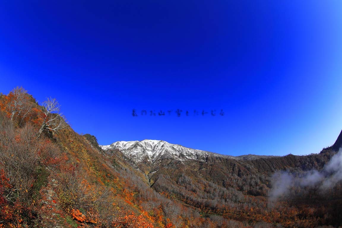 b0062024_13372882.jpg