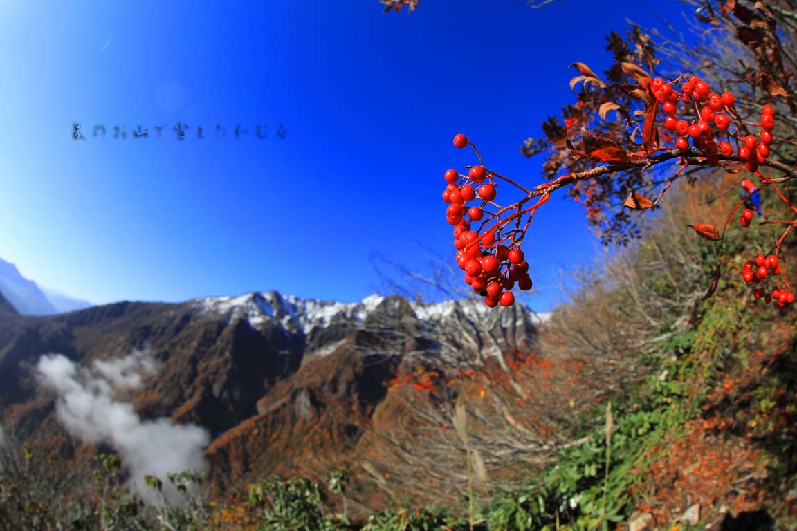 b0062024_13373951.jpg
