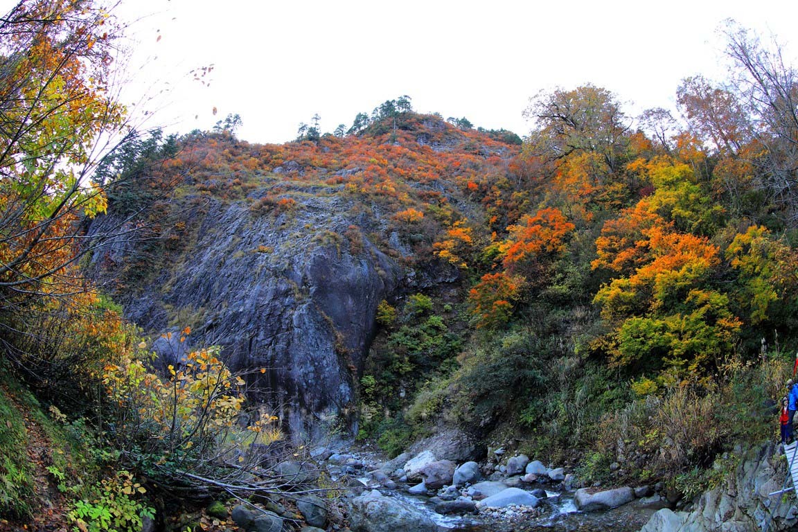 b0062024_13553839.jpg