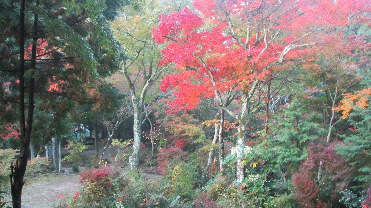 岩屋堂散歩道の紅葉_d0181824_10261391.jpg