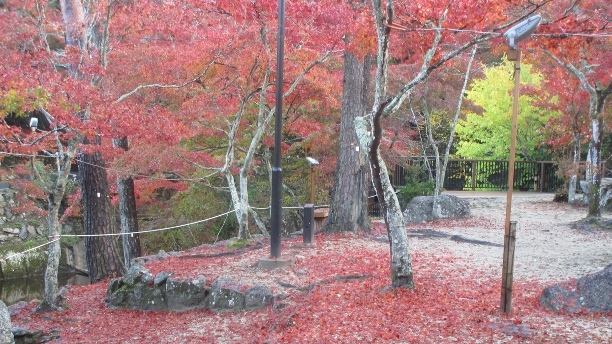 岩屋堂散歩道の紅葉_d0181824_10262030.jpg