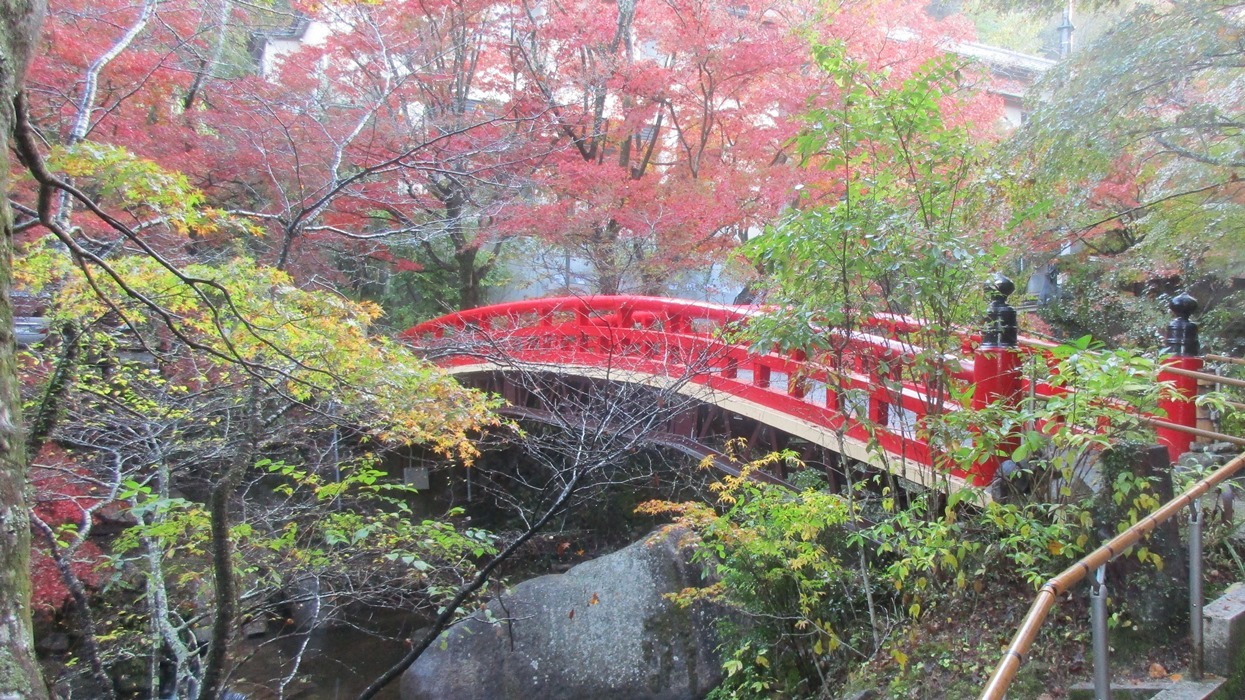 岩屋堂散歩道の紅葉_d0181824_10263047.jpg