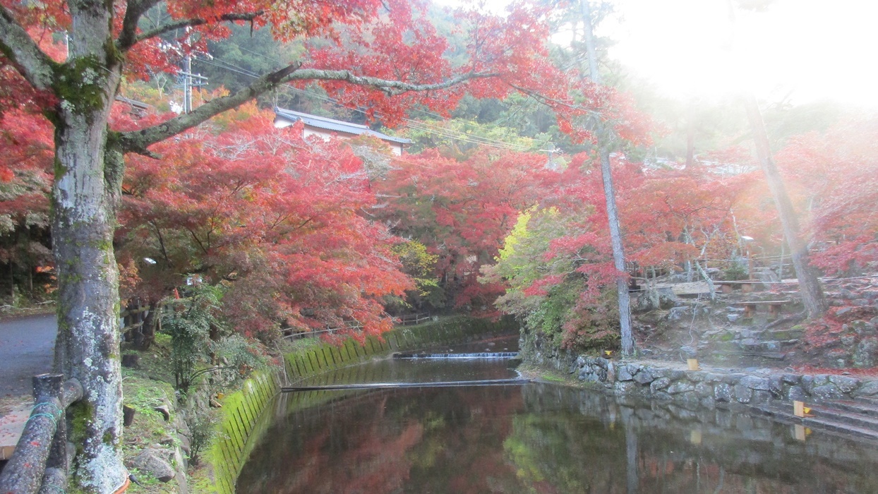 岩屋堂散歩道の紅葉_d0181824_10270311.jpg