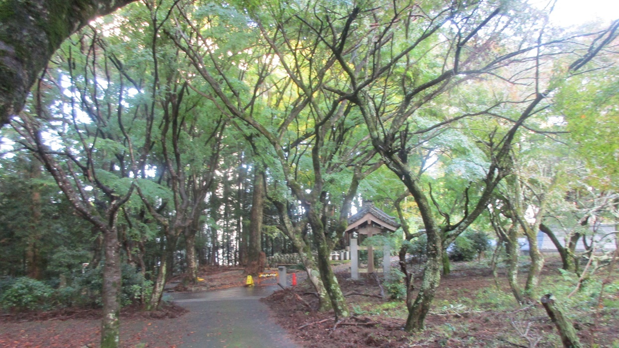 岩屋堂散歩道の紅葉_d0181824_10273558.jpg