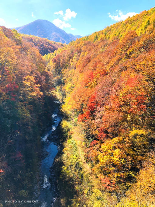 紅葉の中津川渓谷 磐梯吾妻レークライン C 日和 紅葉の中津川渓谷 磐梯吾妻レークライン C 日和