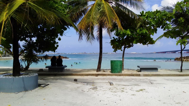 a0349326_20105906.jpg