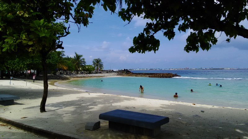 a0349326_20114785.jpg