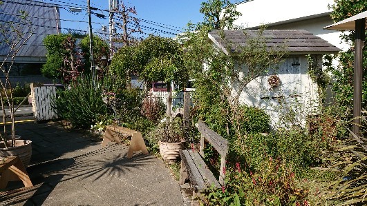 e0335926_20191351.jpg