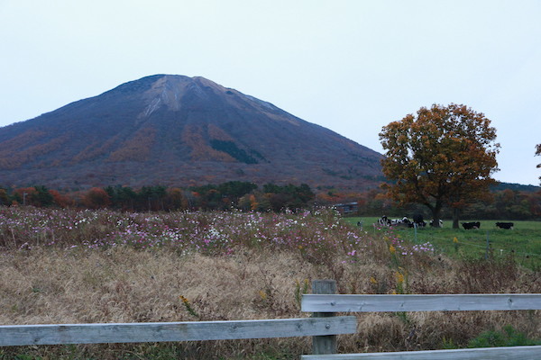 f0044029_18330794.jpg
