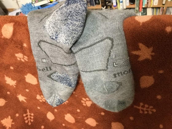 f0118332_23363914.jpeg