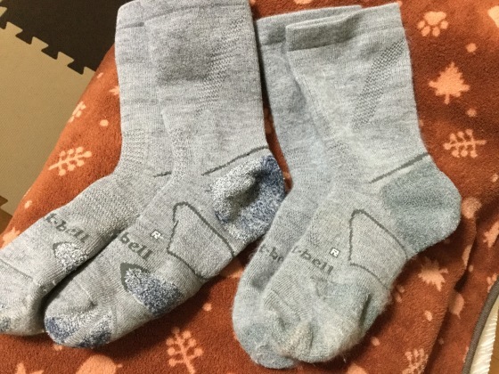 f0118332_23393418.jpeg