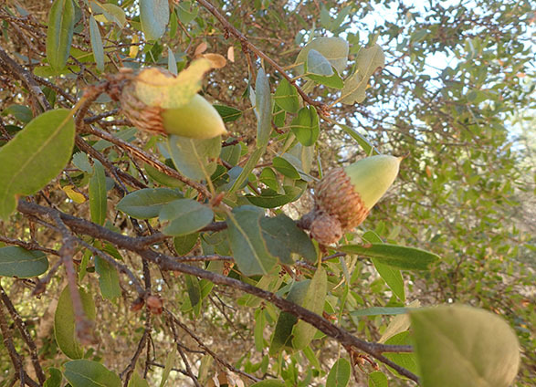 c0177135_22502017.jpg