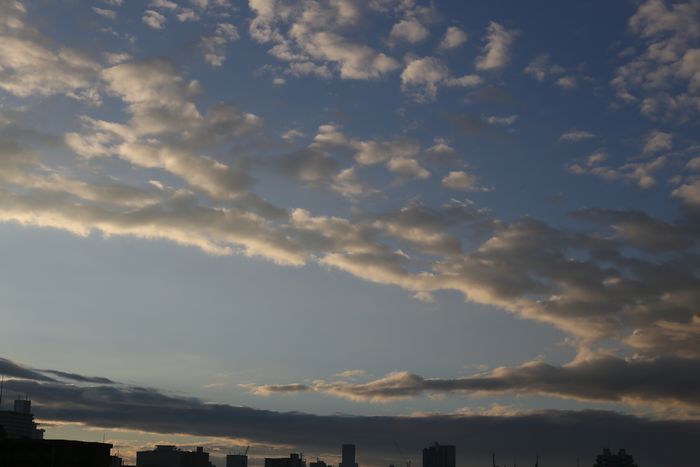 b0058936_21255132.jpg