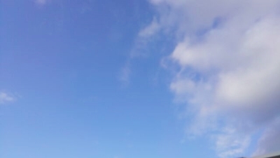 d0178136_15574499.jpg
