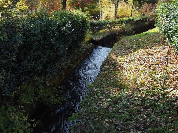 e0272042_17504622.jpg
