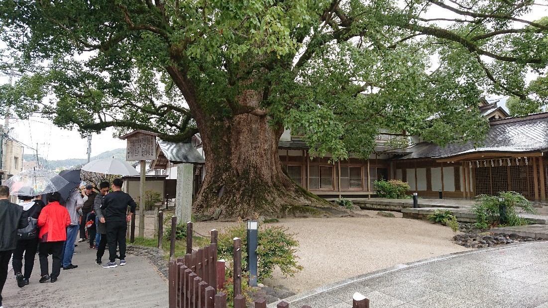 社員旅行2018 IN福岡~夕方までの男達編!_c0146443_12511527.jpg
